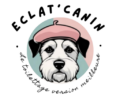 eclat canin 2 removebg preview