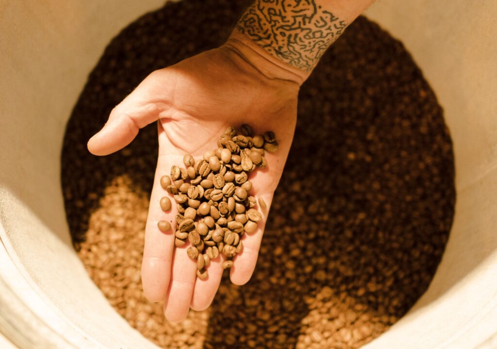 Close-up of a tattooed hand holding coffee beans, showcasing texture and detail.